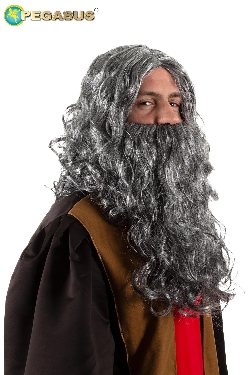 PARRUCCA + BARBA LEONARDO DA VINCI